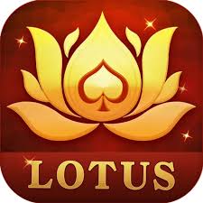 how to use rummy circle bonus download